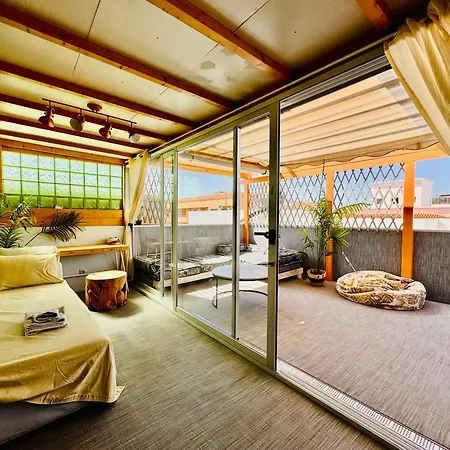 Golden Wave Surf 2 Daire